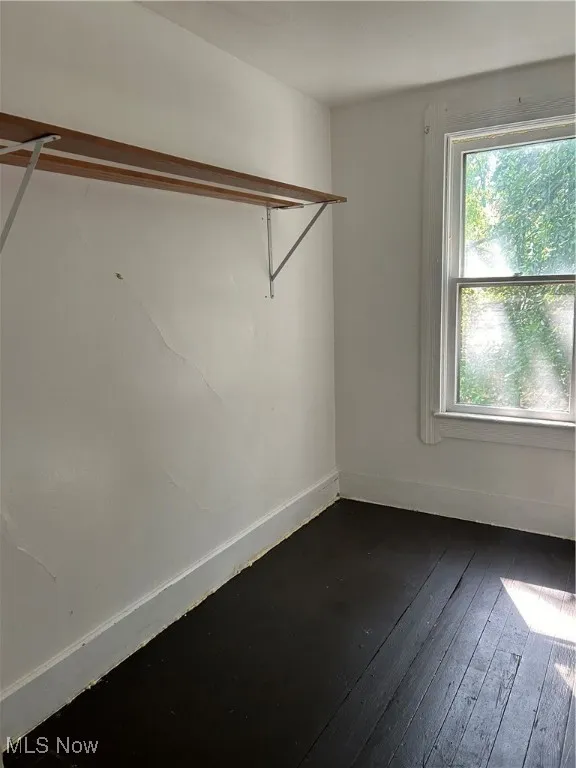 Spacious closet with dark wood-style flooring