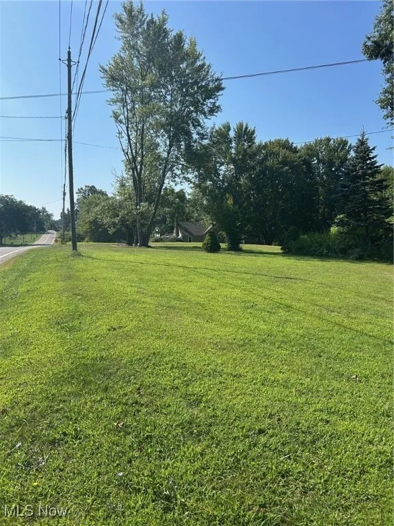 View of green lawn