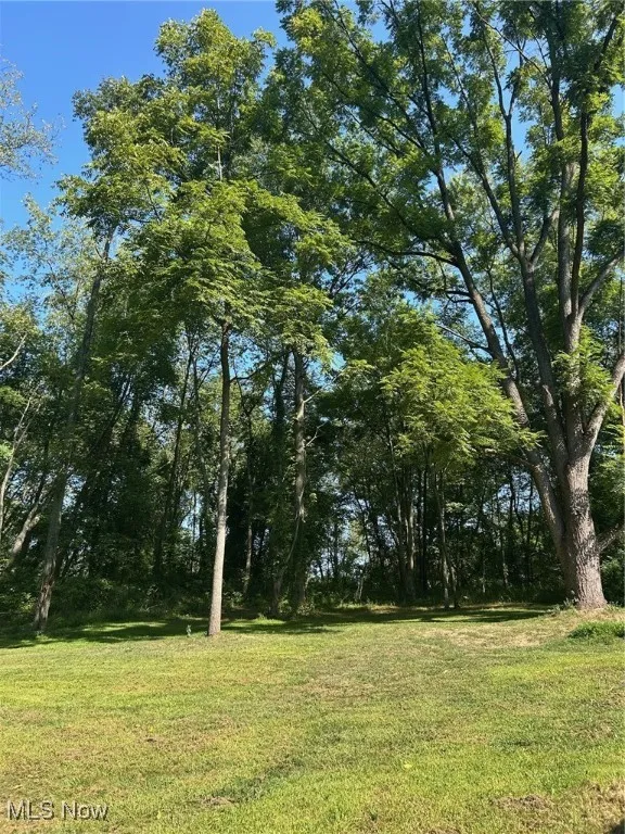 View of green lawn