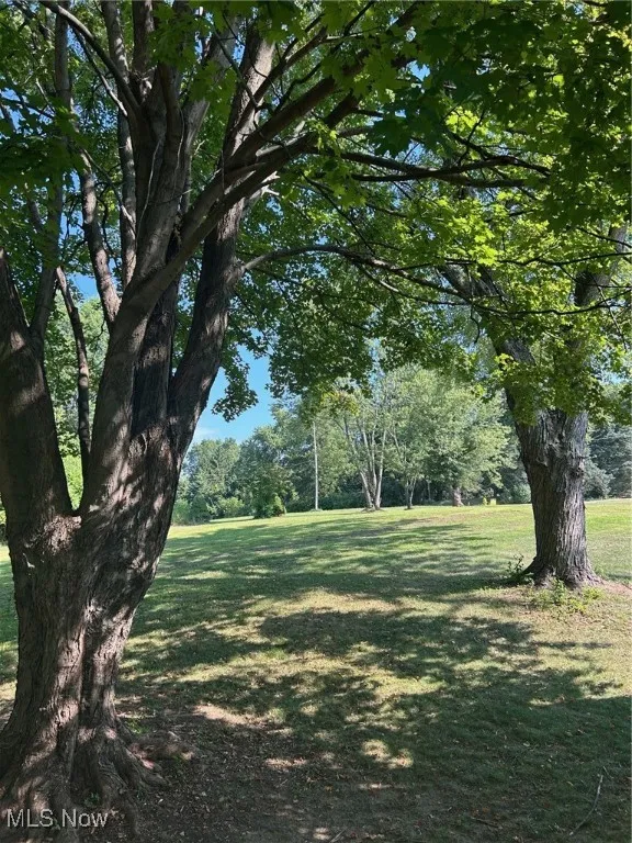 View of green lawn