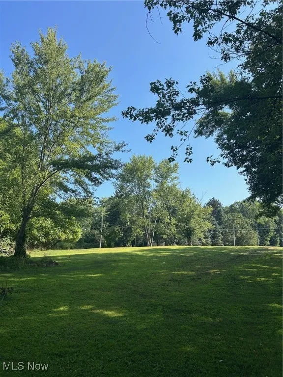 View of green lawn