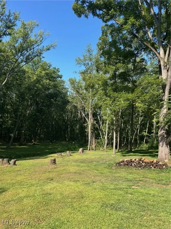 View of grassy yard