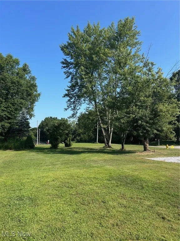 View of grassy yard