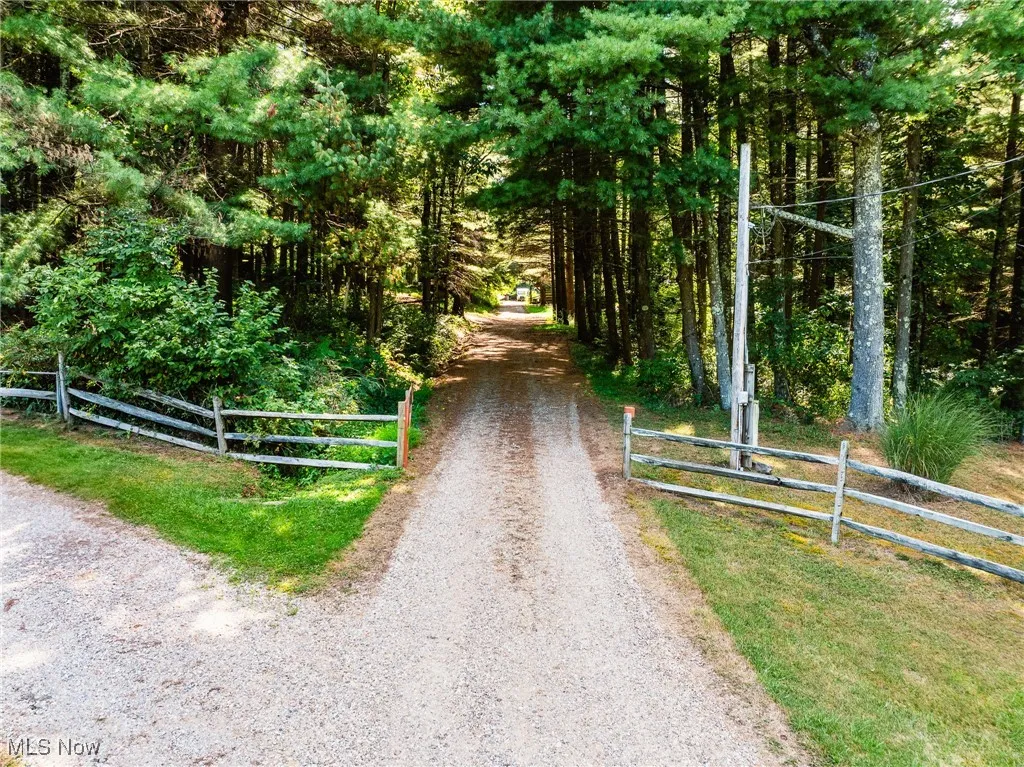 View of dirt / gravel road with a view of trees