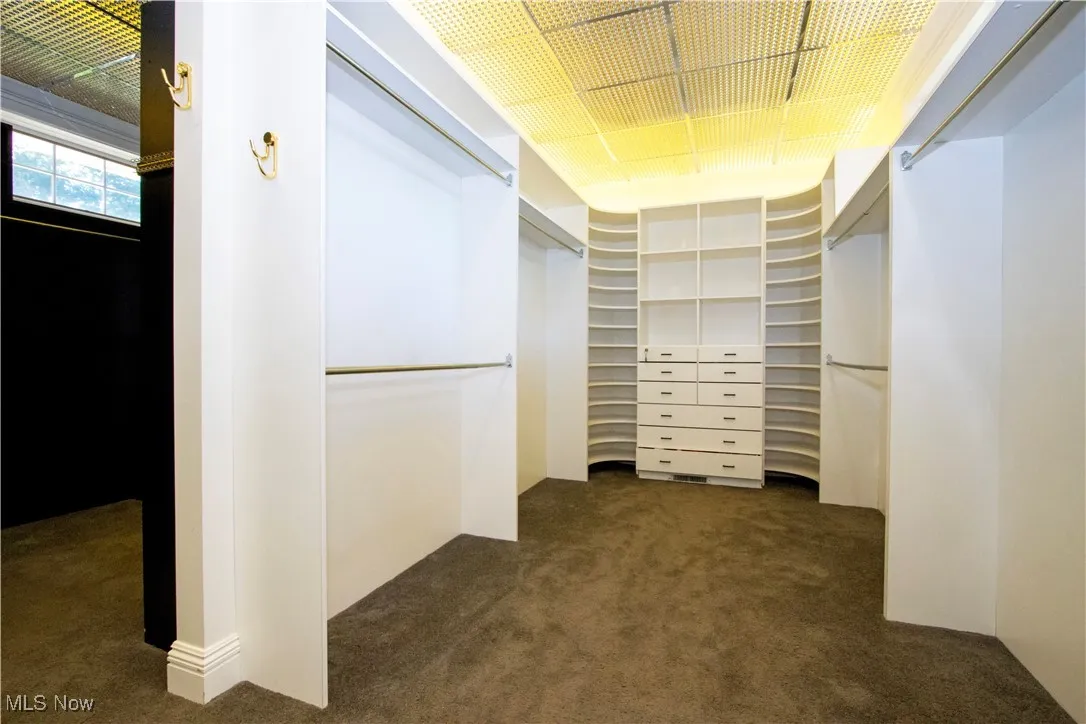 primary  bedroom walk in closet
