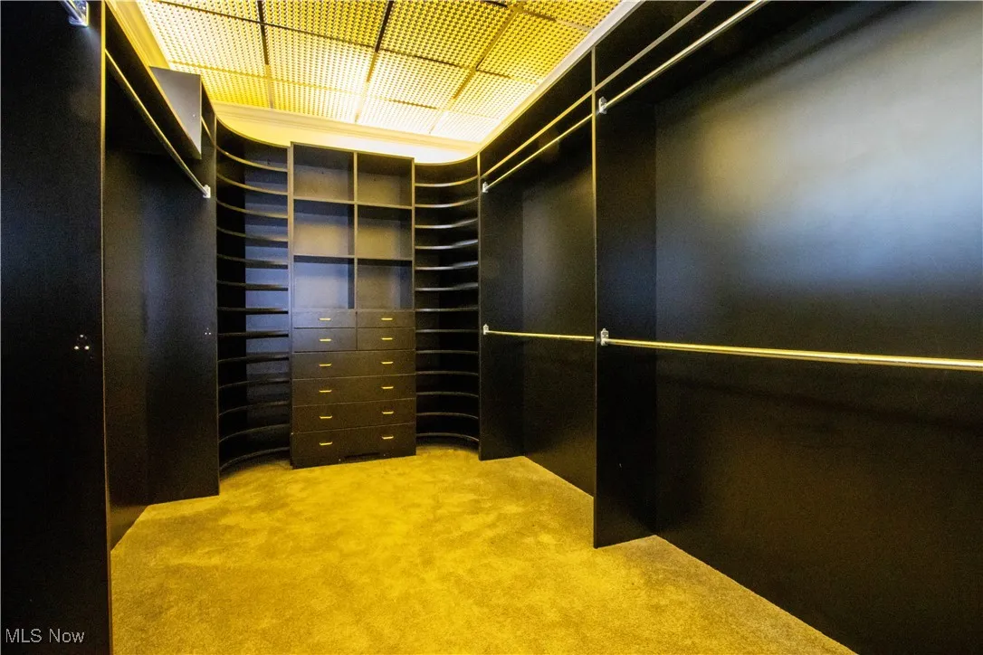 primary bedroom walk in closet