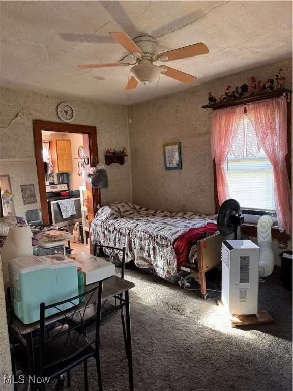 110 S Mad Anthony Street, Millersburg, Ohio 44654,MLS Now Listing ID