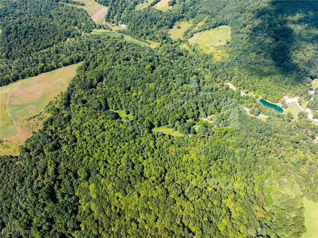 Aerial view of property's location featuring a forest