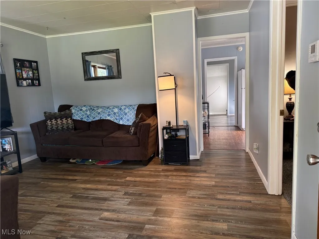 Living room featuring crown molding and dark wood-type flooring