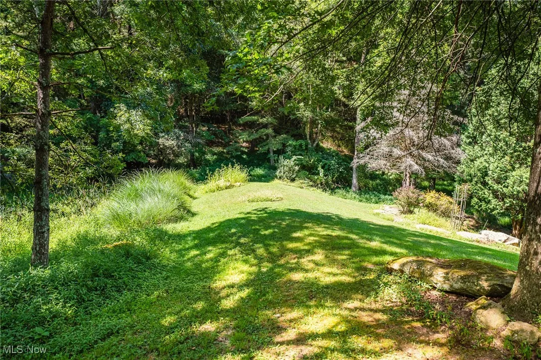 View of green lawn