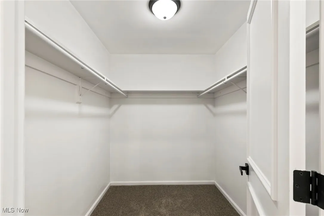 Spacious closet featuring dark carpet