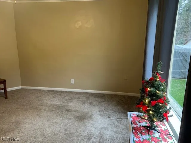 Carpeted empty room featuring baseboards