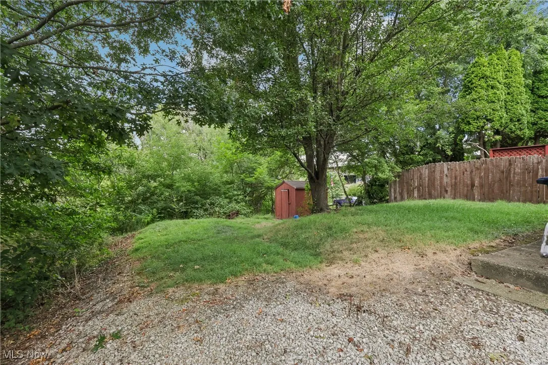 View of back yard with a shed