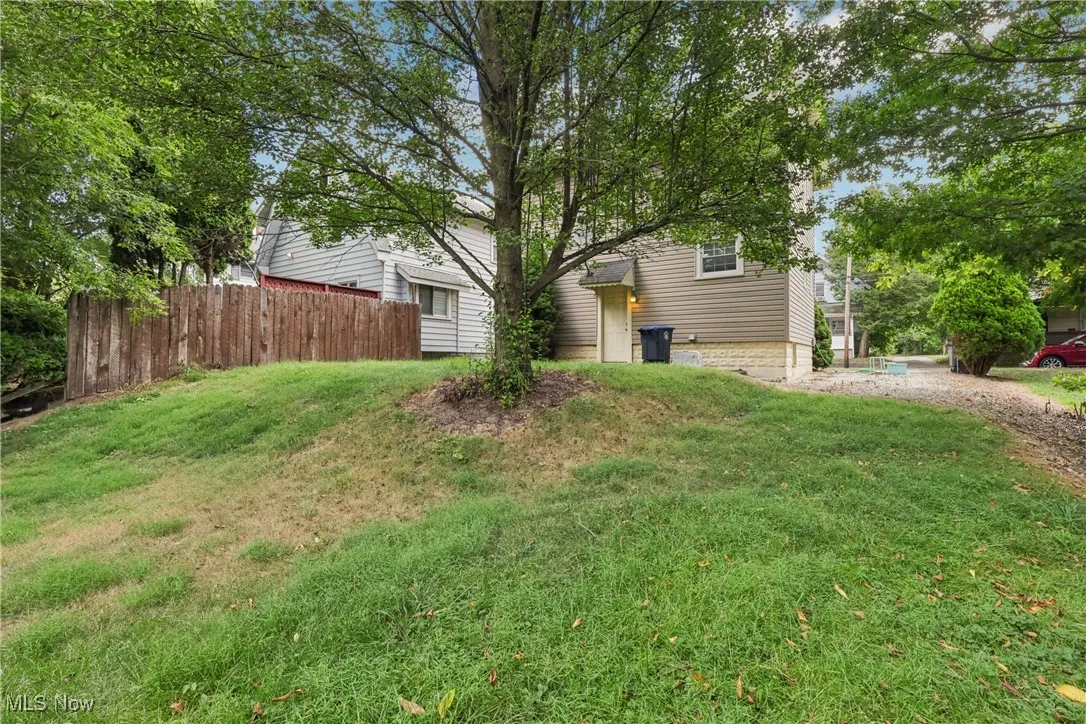 View of back yard