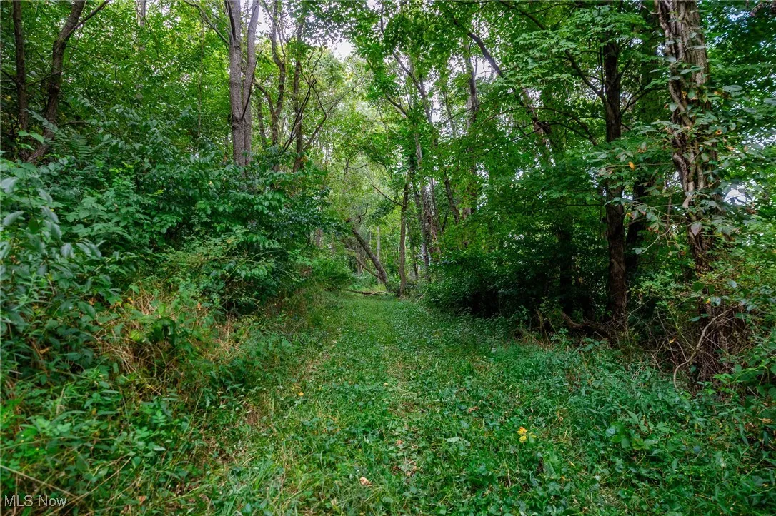 View of woods