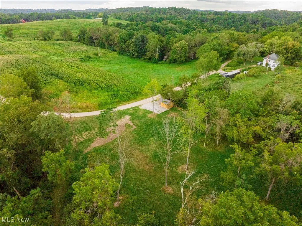 Drone / aerial view of a forest
