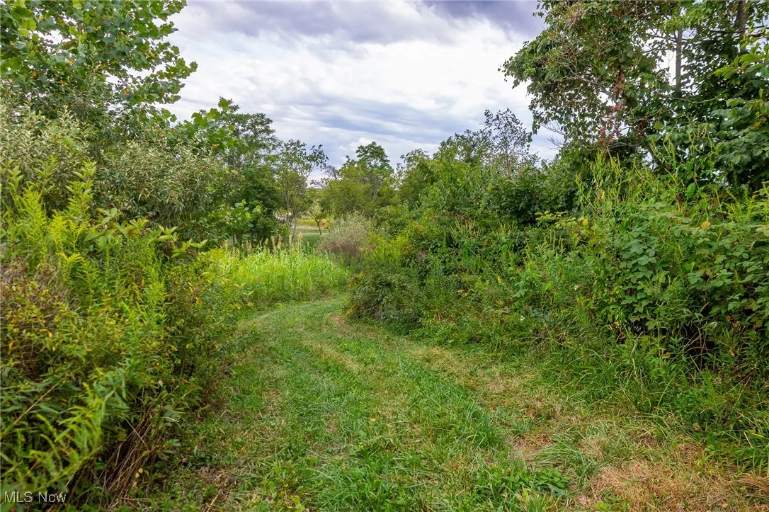 View of undeveloped land
