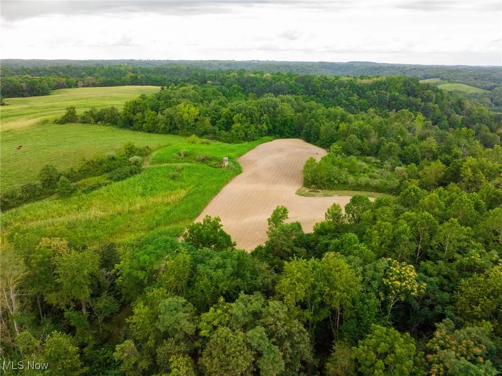 Aerial view of sparsely populated area featuring a forest