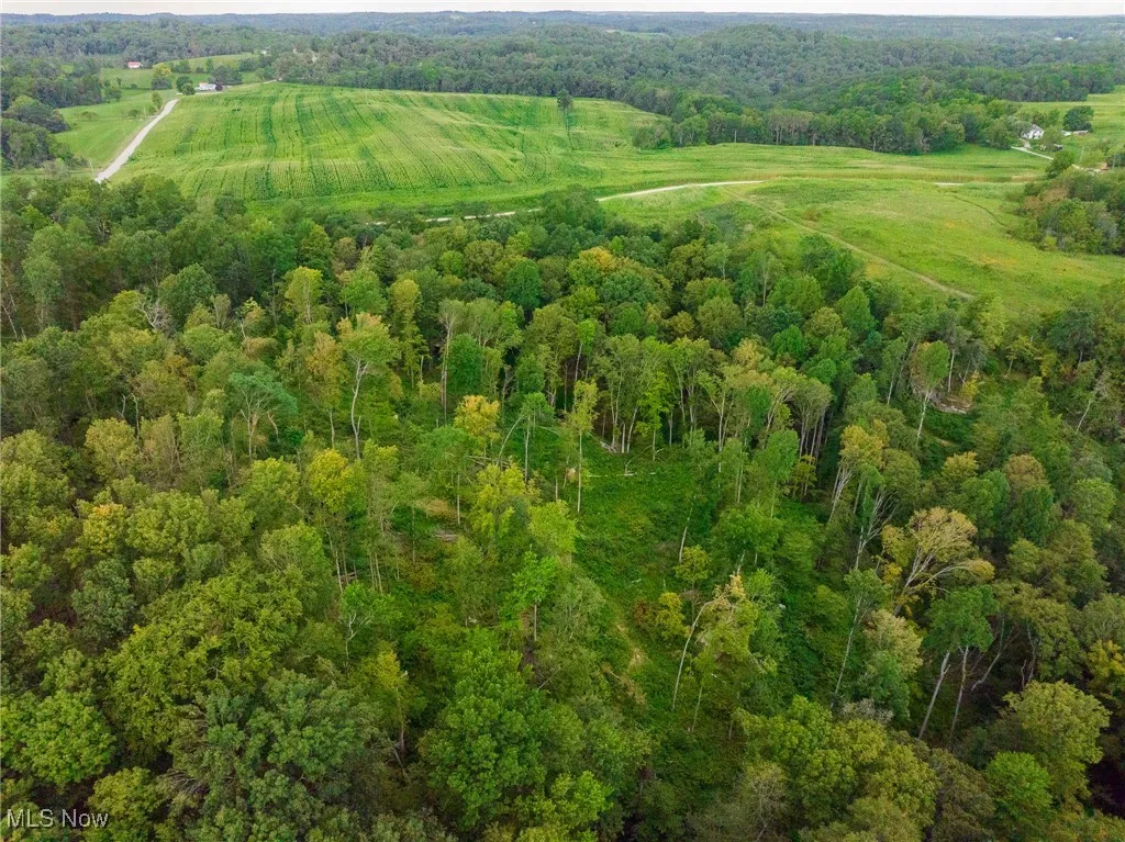 Drone / aerial view of a heavily wooded area