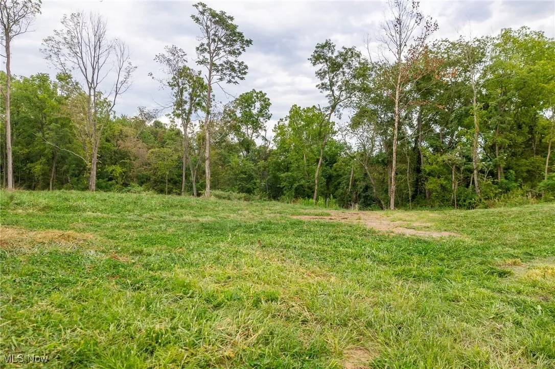 View of yard featuring a forest view