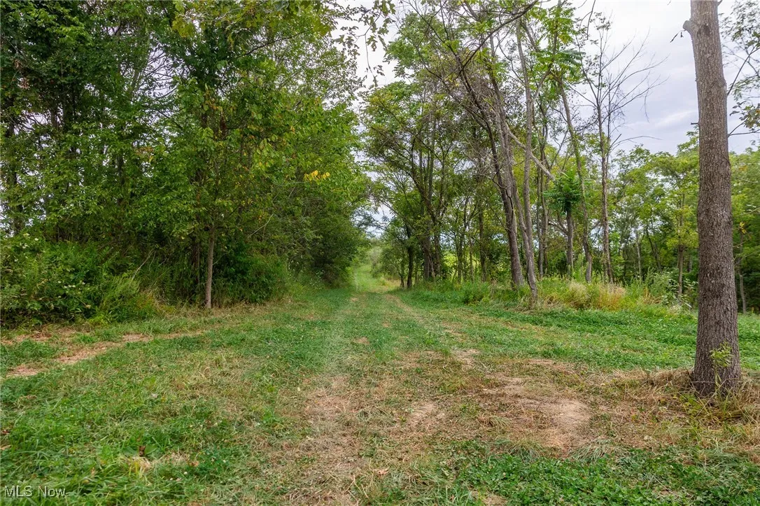 View of undeveloped land