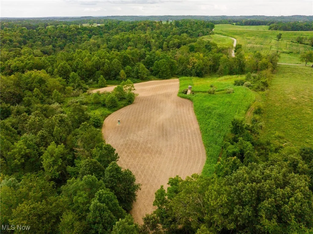 Overview of rural landscape