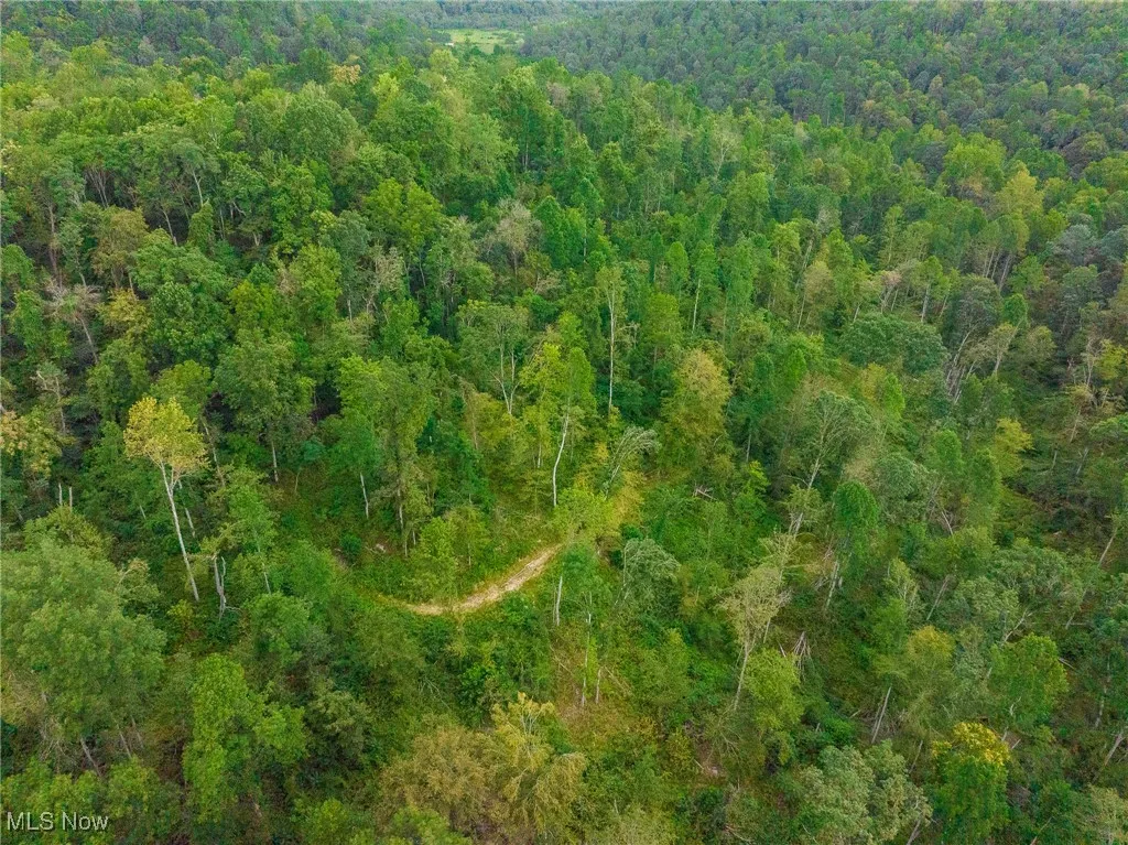 Aerial view of property's location with a forest