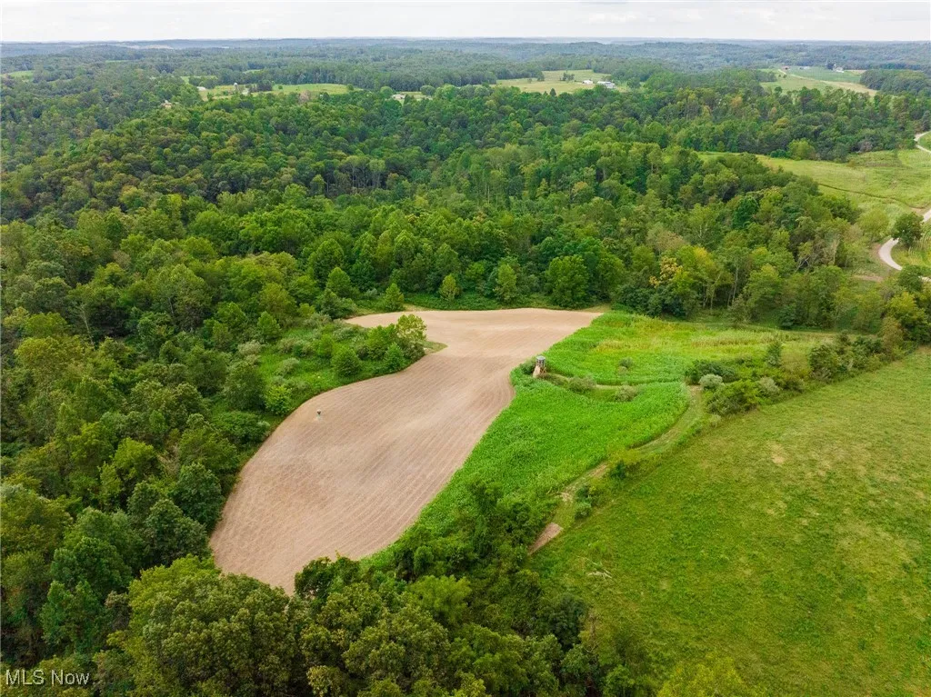 Overview of rural landscape