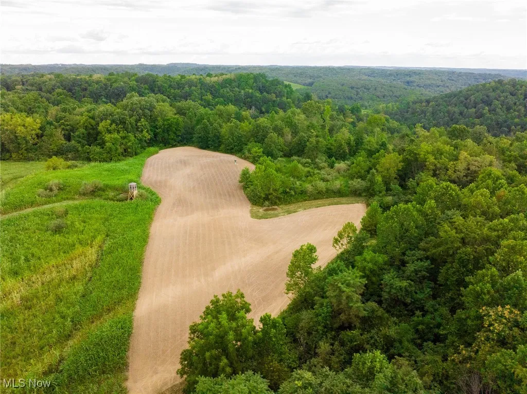 Drone / aerial view of a heavily wooded area