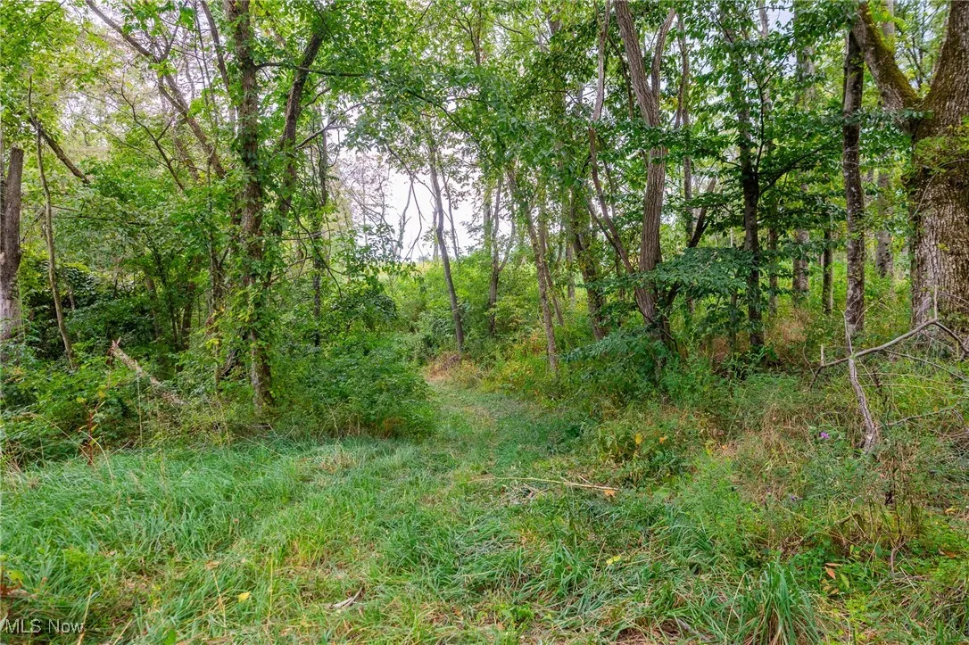 View of wooded area