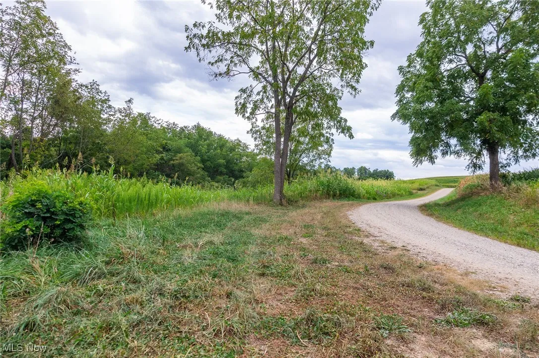 View of dirt / gravel road