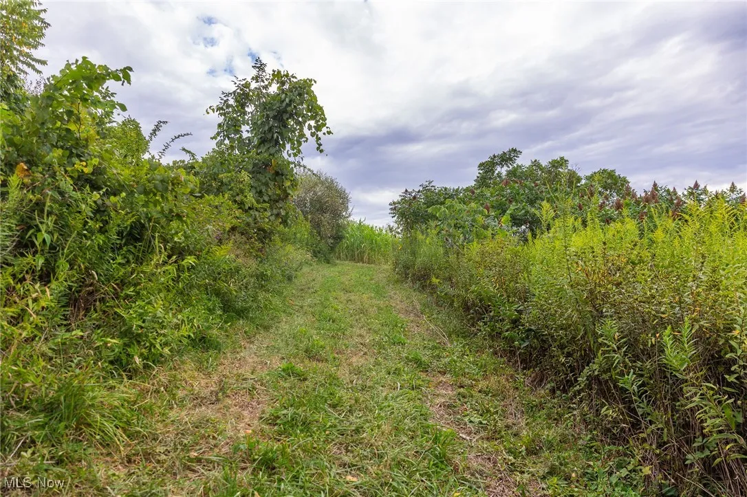 View of nature