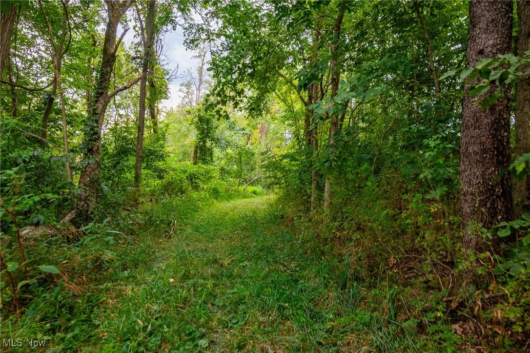 View of woods