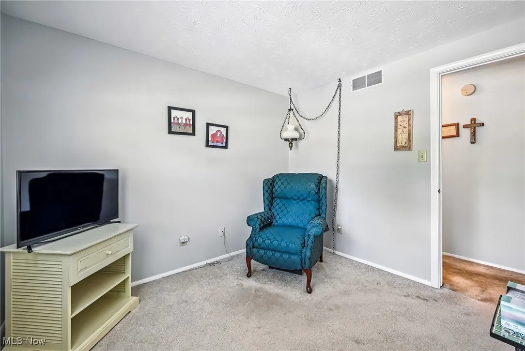 Sitting room with carpet and a textured ceiling