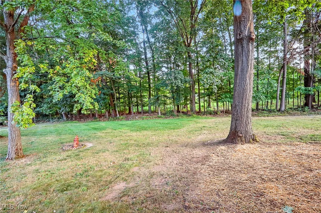 10010 Chevy, Strongsville, Ohio 44136,MLS Now Listing ID