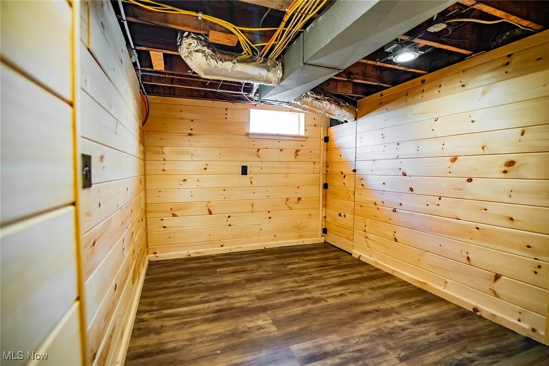 Basement featuring wooden walls and dark wood-style flooring