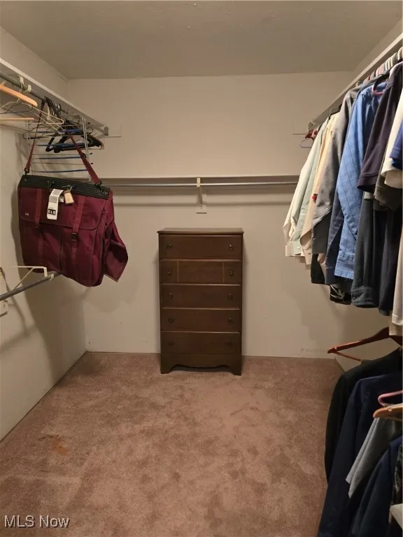 Walk in closet with light colored carpet