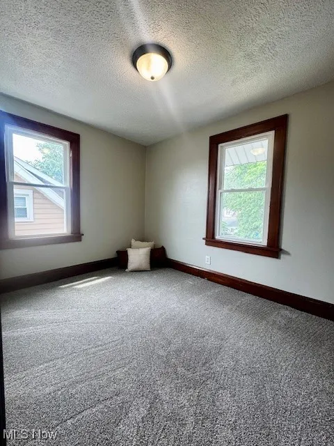 Spare room with carpet, baseboards, and a textured ceiling