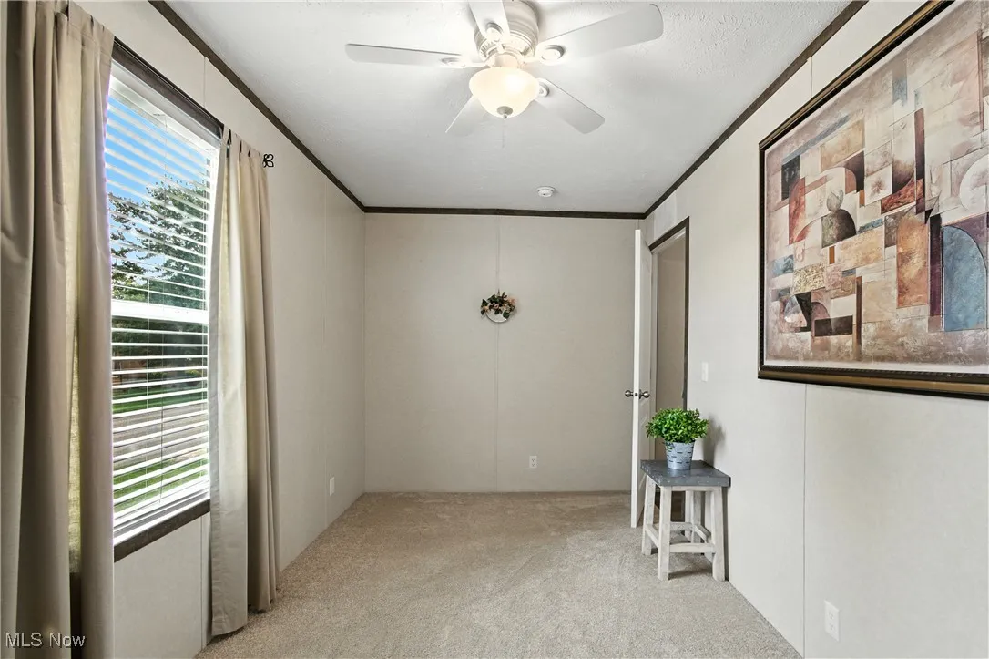 Spare room with crown molding, light colored carpet, and ceiling fan