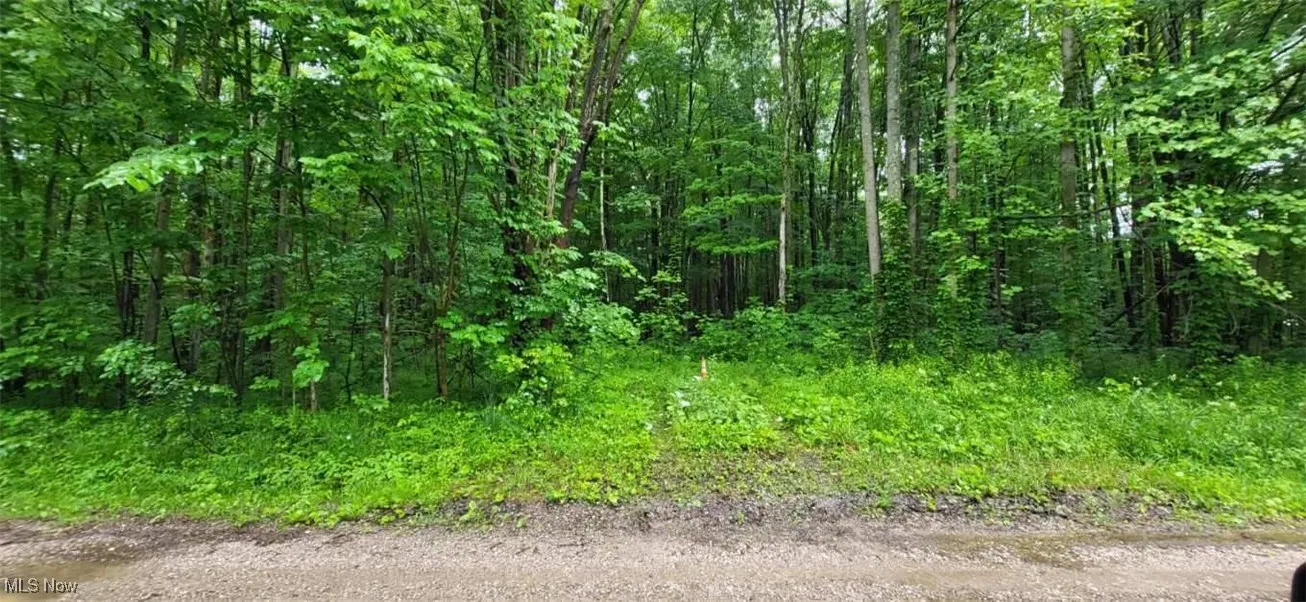 View of nature