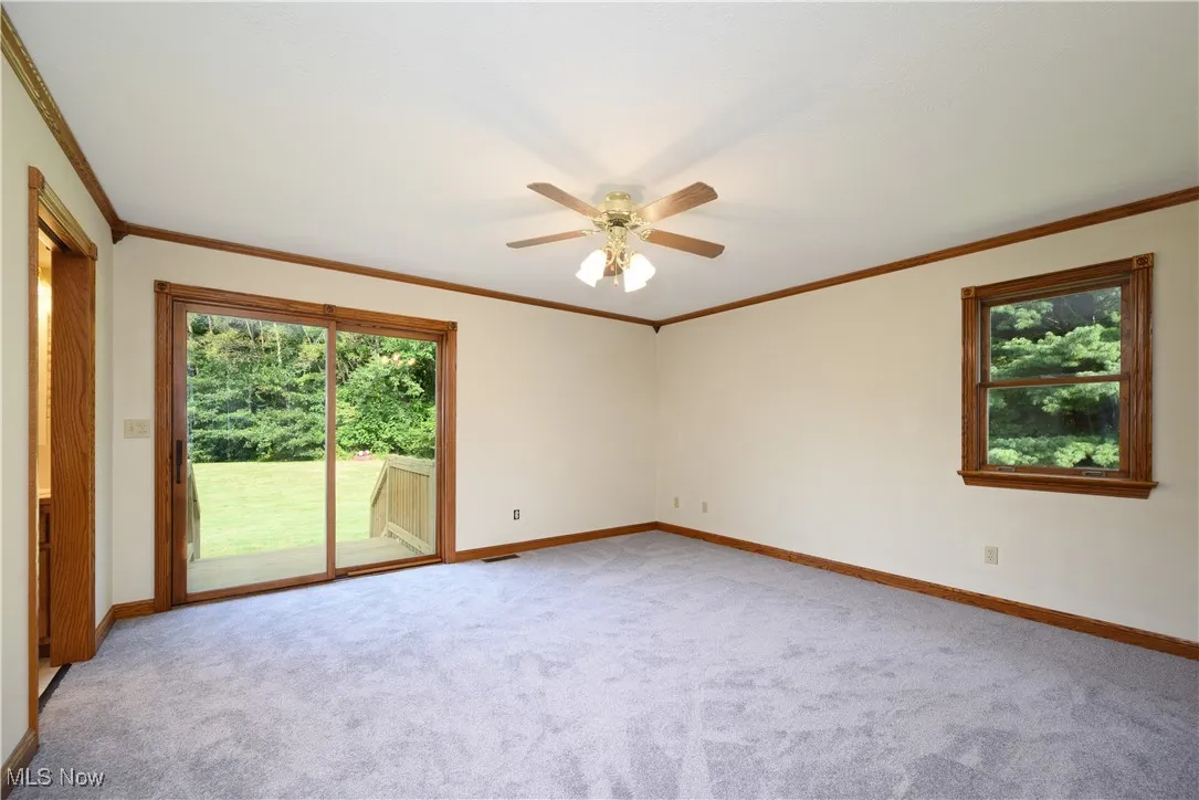 Empty room featuring crown molding, plenty of natural light, carpet floors, and a ceiling fan