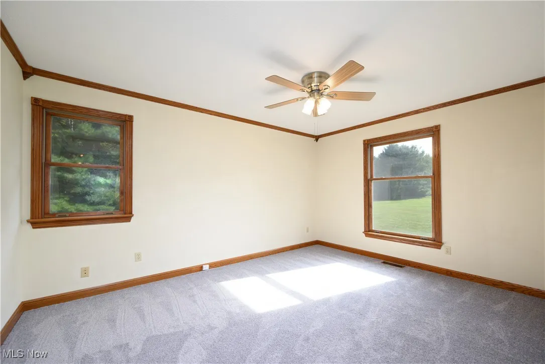 Spare room with carpet flooring, ornamental molding, and a ceiling fan