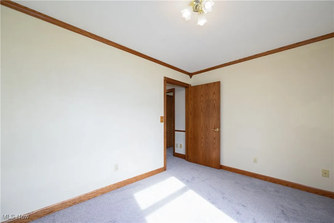 Carpeted empty room featuring crown molding and baseboards