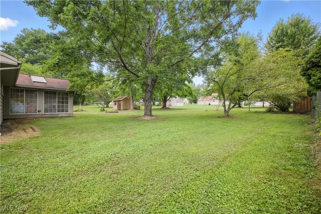 View of green lawn featuring a shed