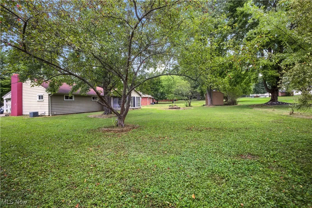 View of grassy yard
