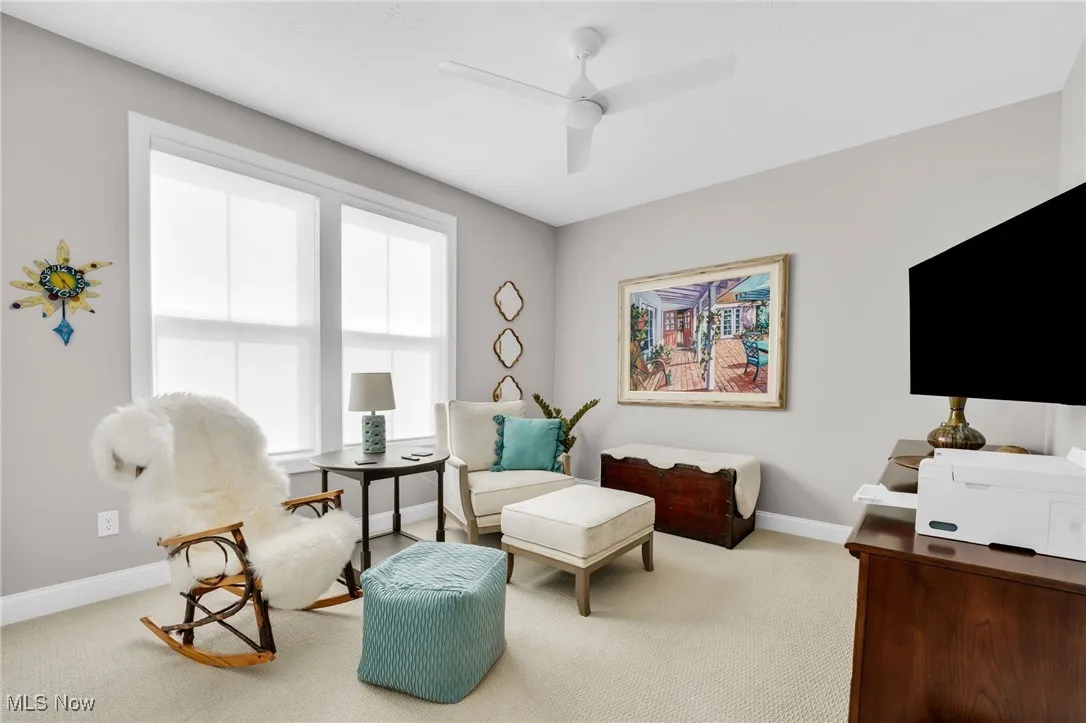 Living area featuring carpet floors and a ceiling fan