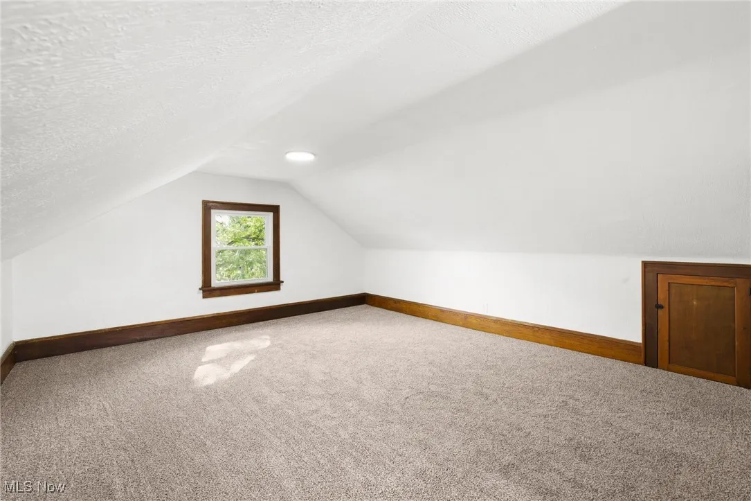 Bonus room featuring carpet floors