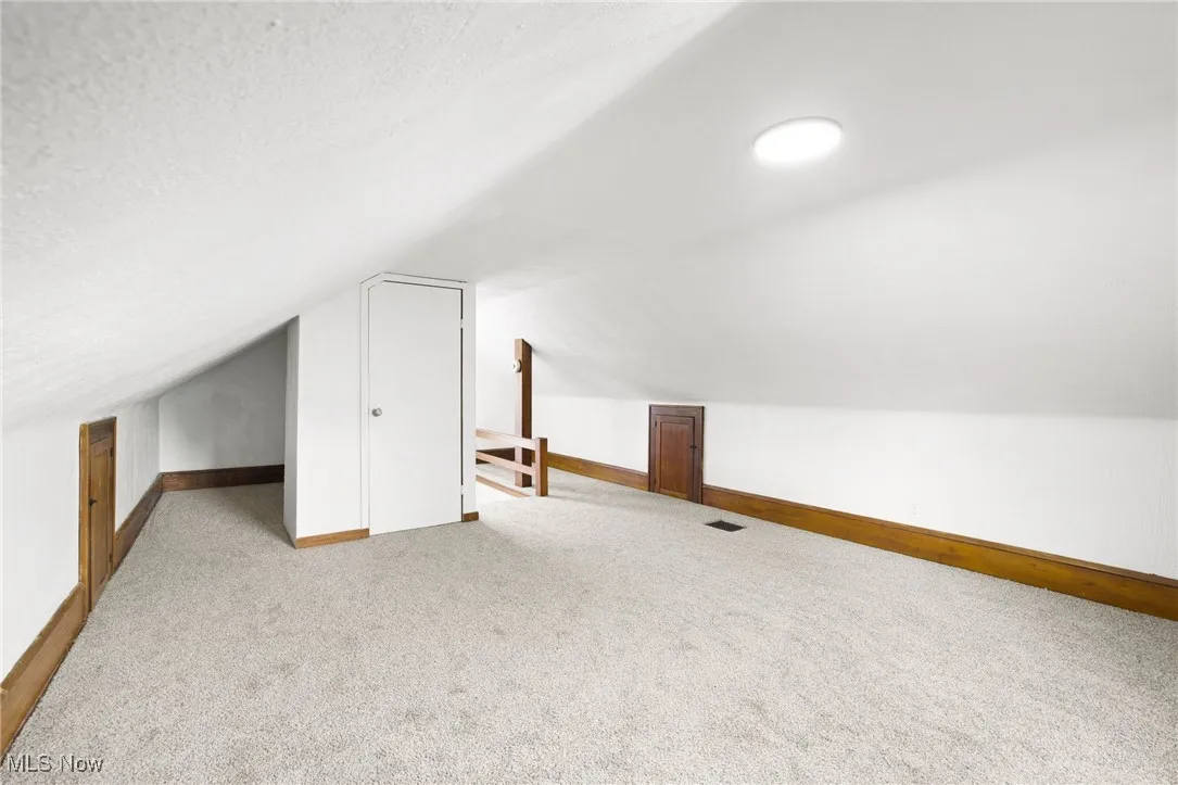 Bonus room featuring carpet floors and closet