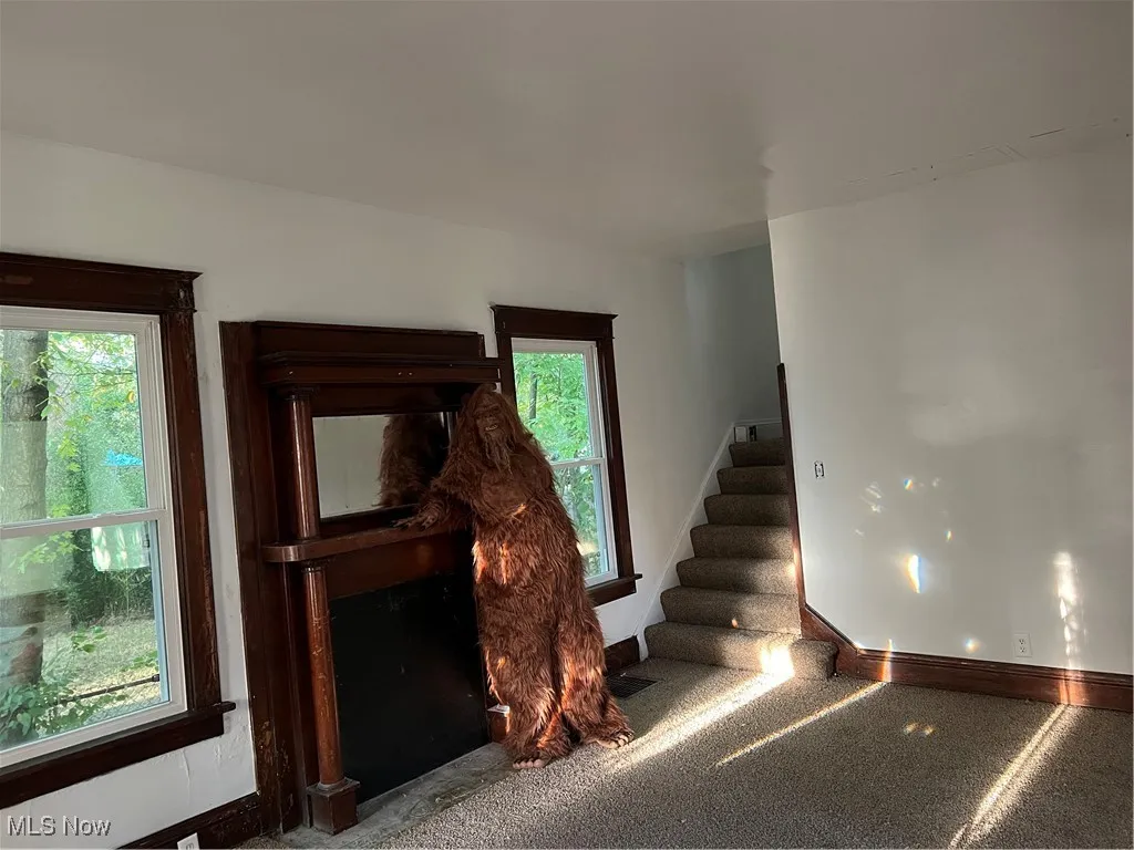 759 Tod Avenue, Warren, Ohio 44485,MLS Now Listing ID