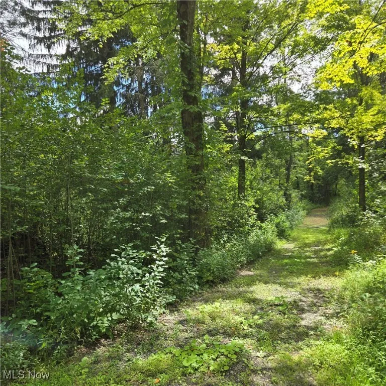 very secluded and private.
